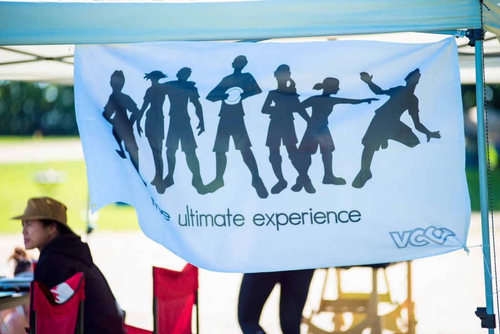 The Ultimate Experience flag